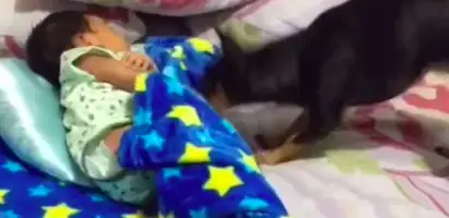 Mother Immediately Records After Dog Does This To Baby