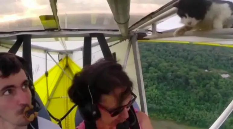 Woman's Insane Reaction After This Happens During Flight