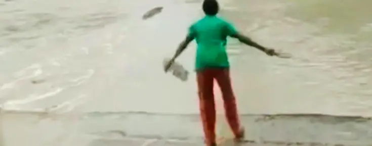 Woman Makes Incredible Move Against Crocodile