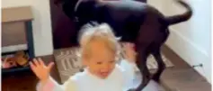 Video Shows Absolute Best Reaction From Baby