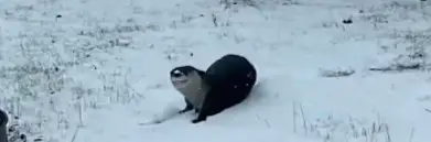 Camera Captures Something Adorable